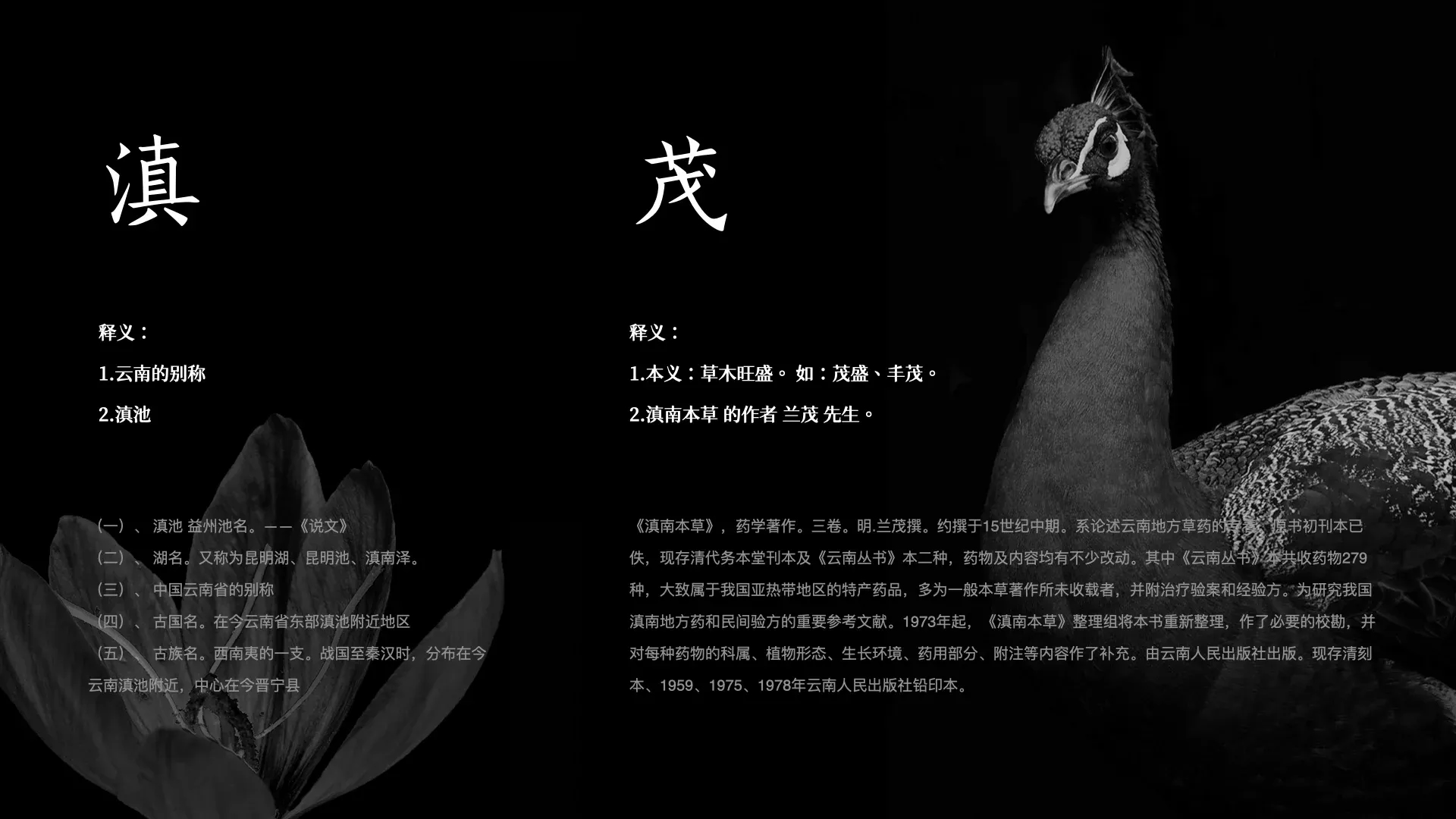 滇茂_案例简介.003