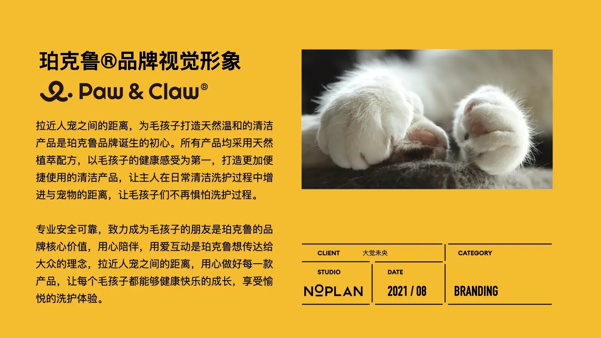 珀克鲁_案例简介.003