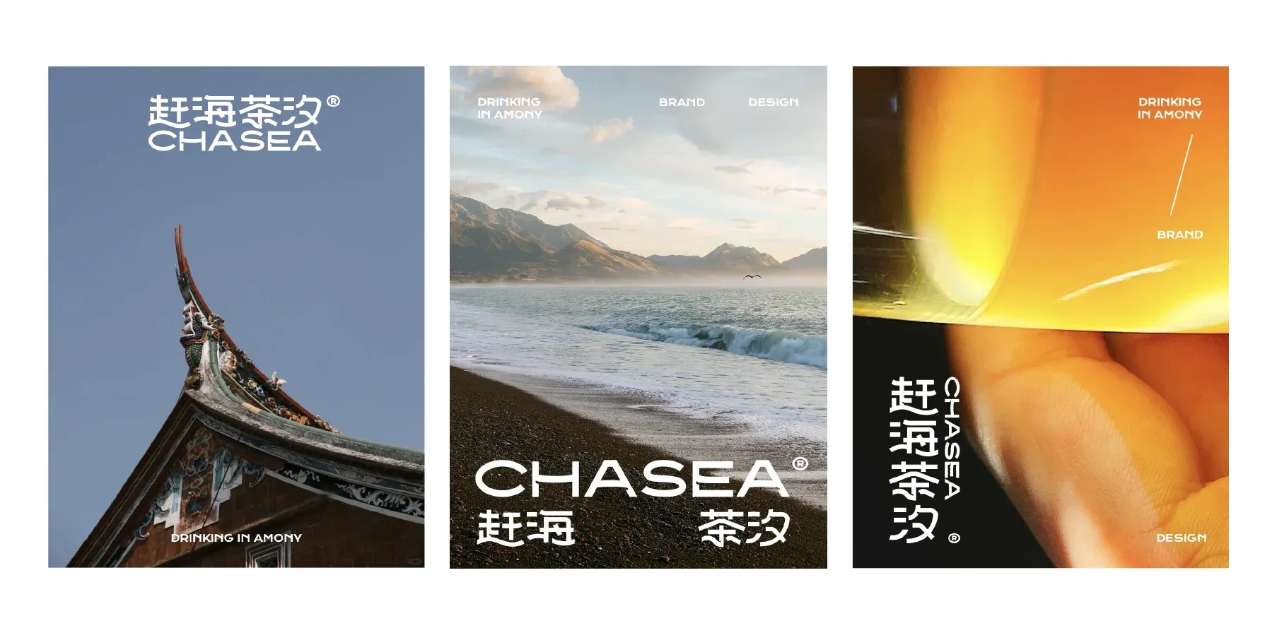 CHASEA （横版）案例-05