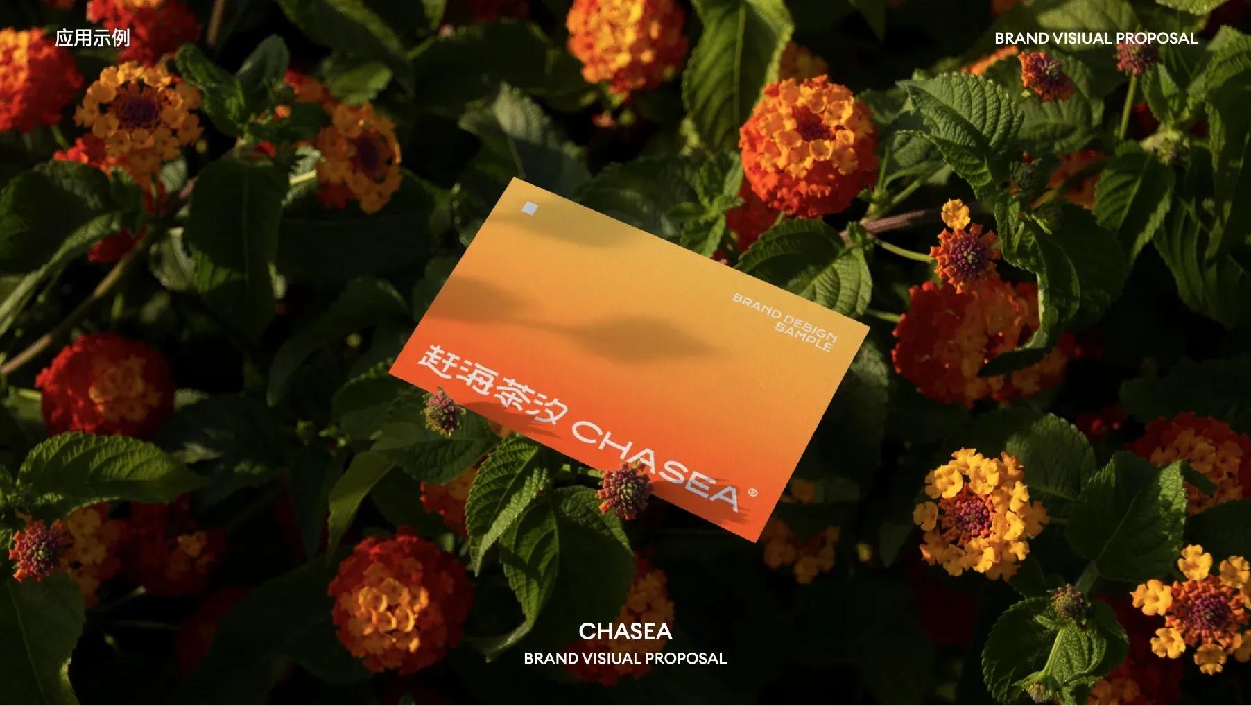 CHASEA （横版）案例-13