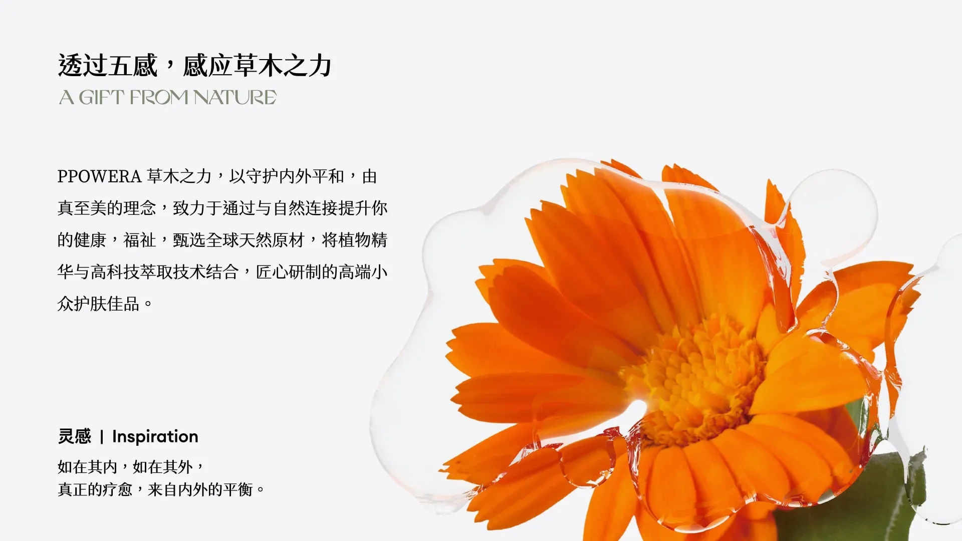 PPOWERA_案例简介.002